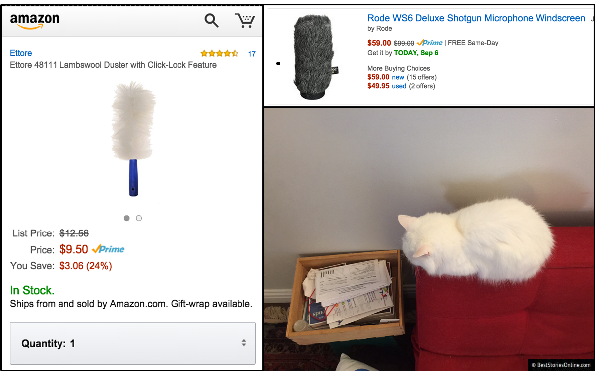 Pictured: Lambswool duster, boom microphone windscreen and found white cat.