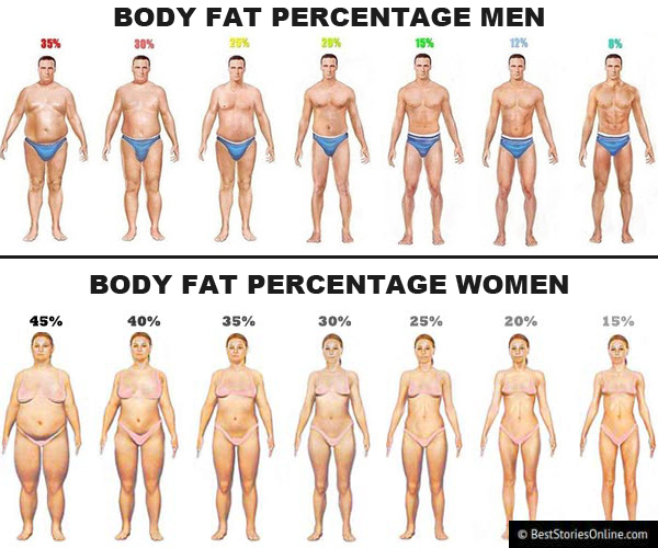 Body fat percentage chart showing both men and women.