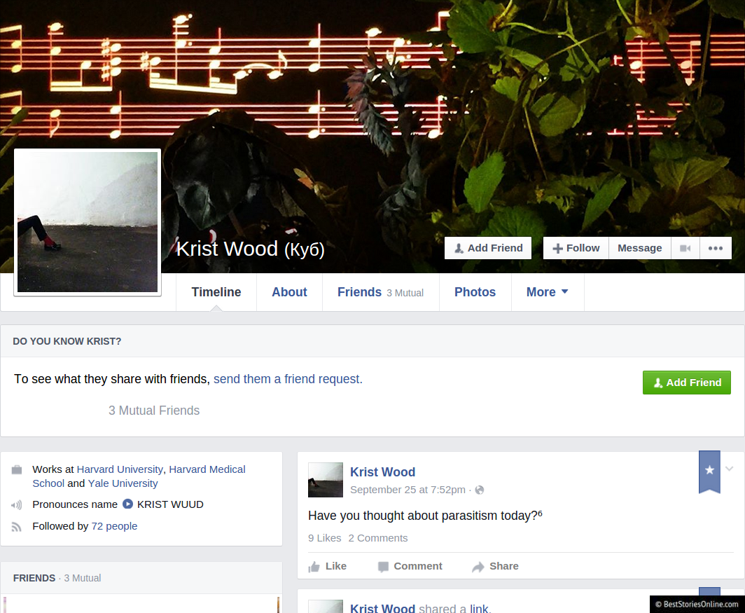 The Facebook profile of Krist Wood, a net artist. Like many artists and
writers, he has some number of followers, and many of his posts are
.